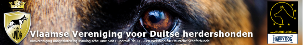 Topbanner van de V.V.D.H.